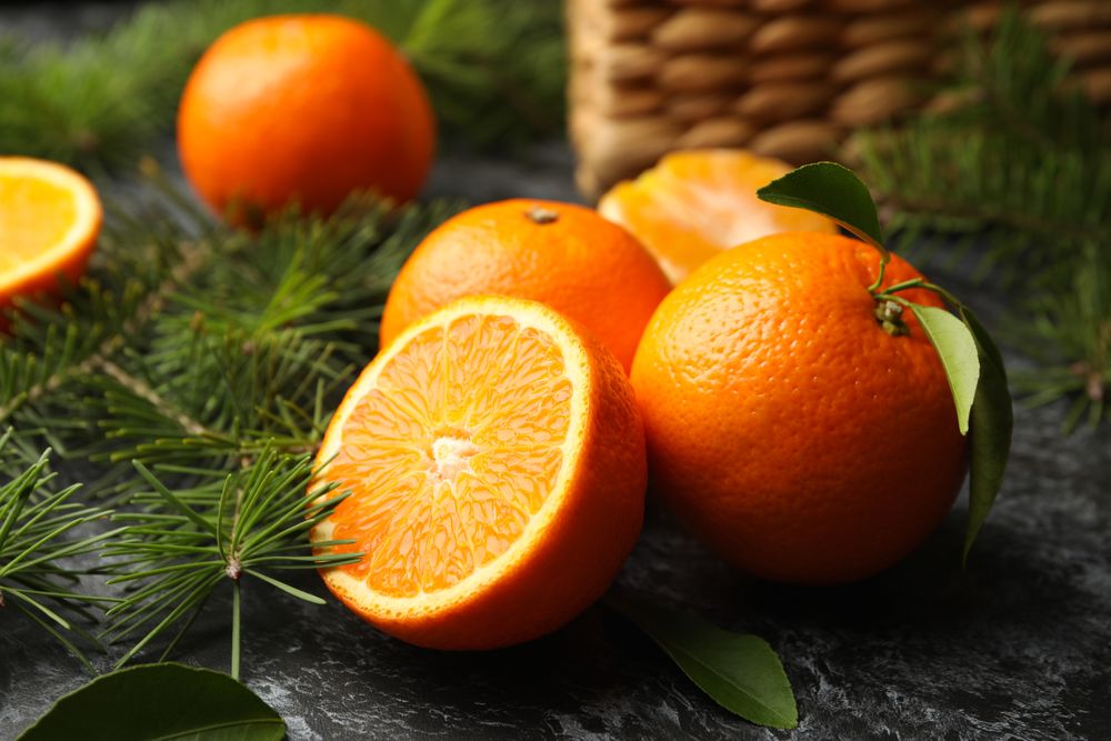 Mandarins, pine branches and basket on gray smoky background