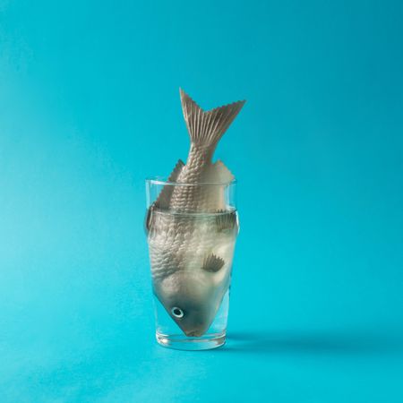 Fish in glass of water