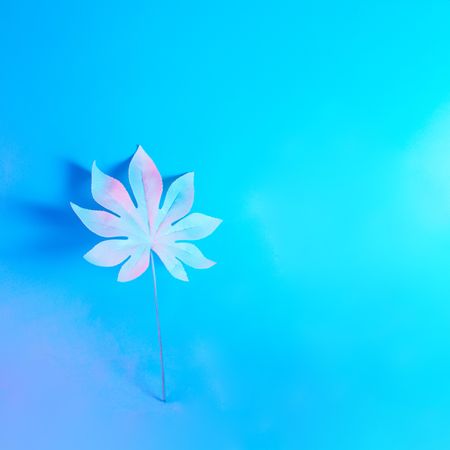 Tropical leaf in vibrant bold gradient holographic neon  colors