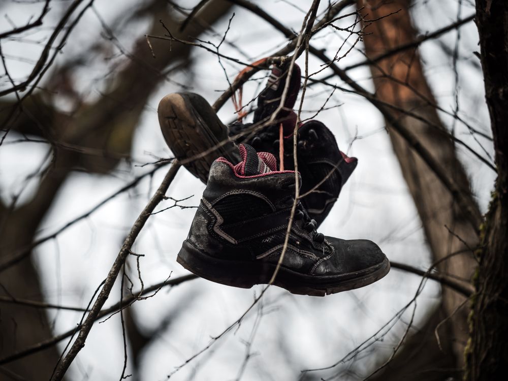 A pair of boots hangs high on a tree. Abandoned old lonely boots.