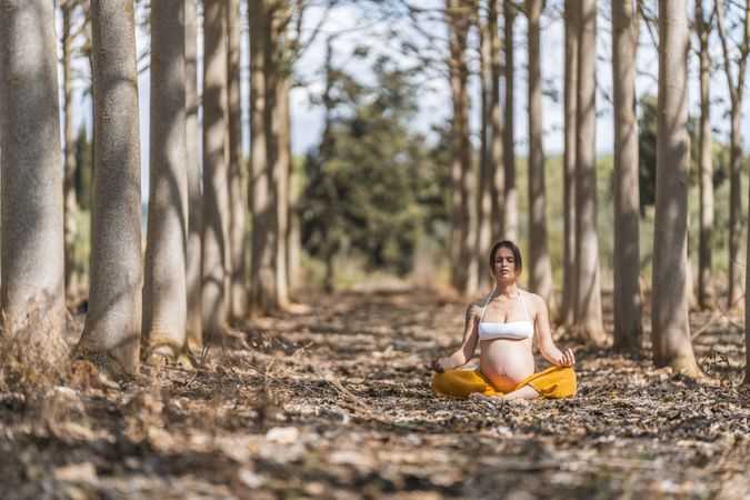 Calm adult pregnant woman practicing yoga while sitting in pose lotus on ground in park during sunny day