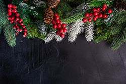 Christmas frame with holly on concrete background