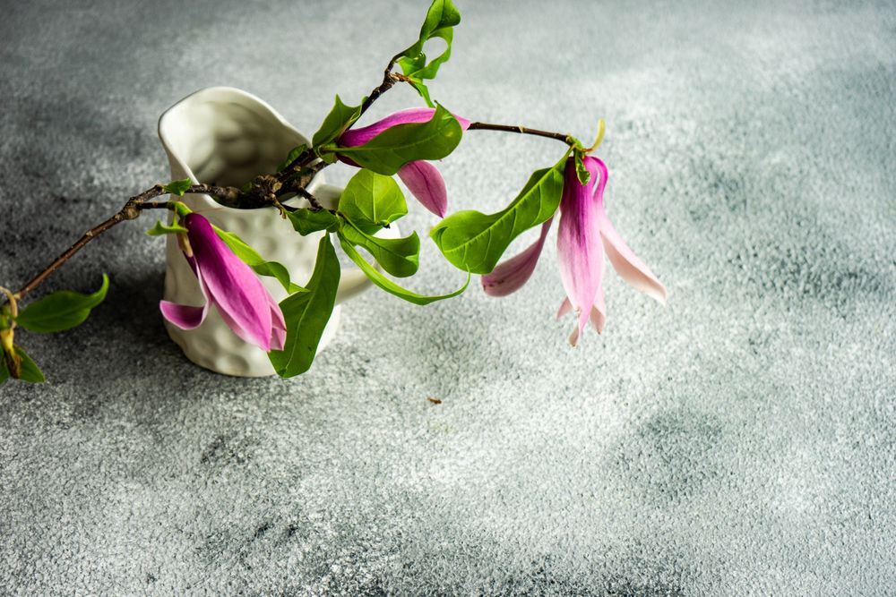 Floral frame with magnolia in vase