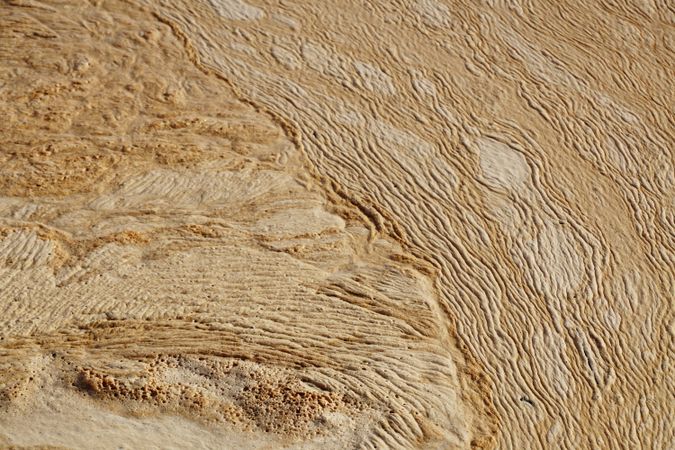 Abstract dirty water or soil background