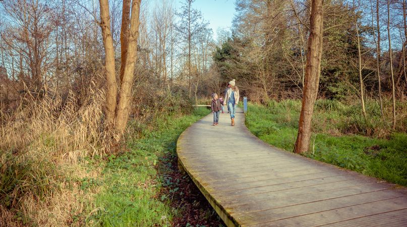 Mother and son walking along forest path together