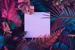 Creative fluorescent color layout made of tropical leaves with neon light square