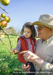 Older man holding little girl picking apples 49mMmQ