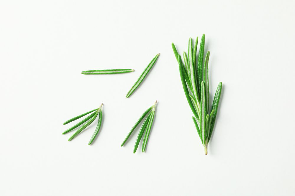 Flat lay composition with rosemary on neutral background, space for text