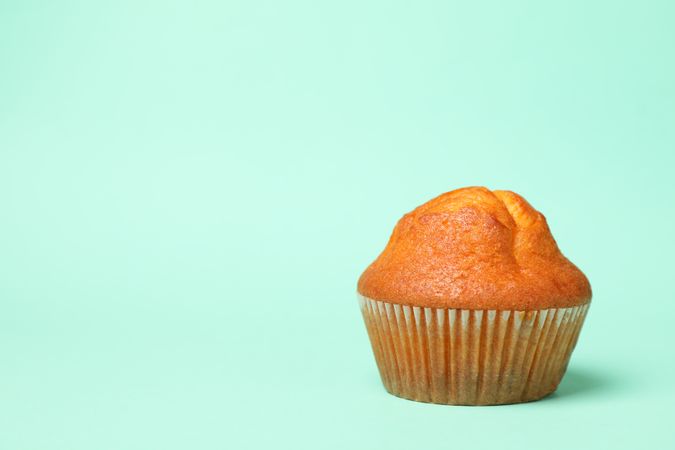 Tasty chocolate muffin on mint background, space for text