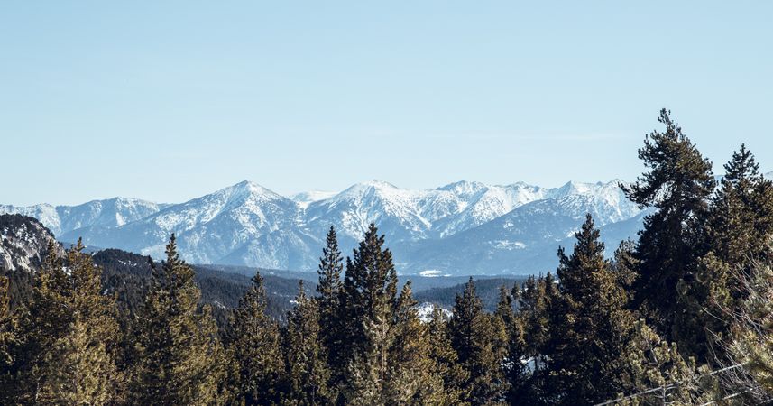 Picturesque view of mountains with forest in snow
