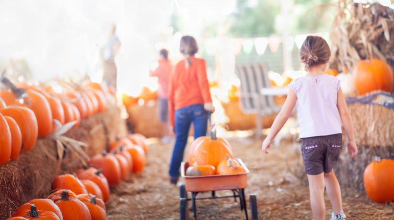 Two Young Girls Pulling Their Pumpkins In A Wagon at a Pumpkin Patch on a Fall Day.