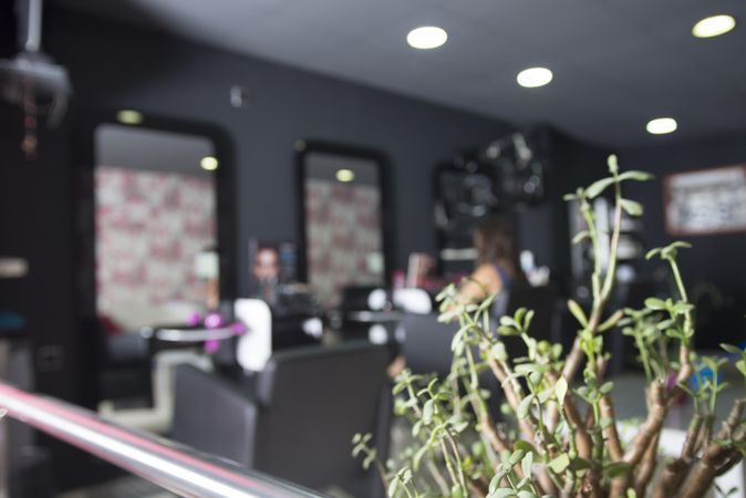 Hair salon with green plant in foreground