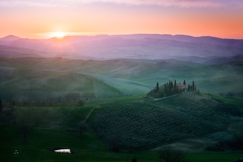 Peaceful green field at sunset