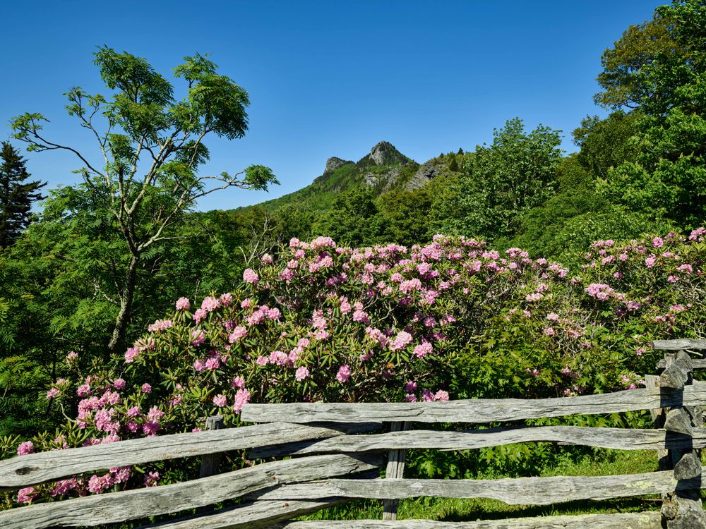 View of Grandfather Mountain in North Carolina