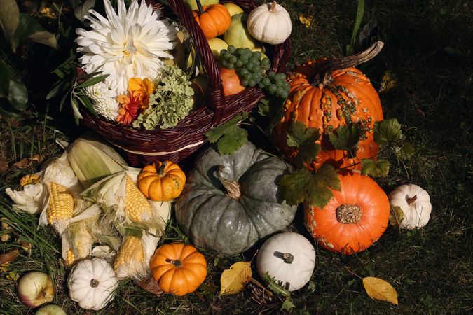 Beautiful autumn garden harvest composition of squash and flowers in basket on grass