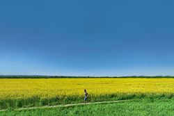 Man jogging through a scenic path, capturing vitality, wellness, and mental well-being
