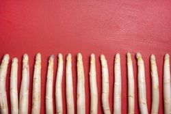 Raw asparagus aligned in a row on a red background