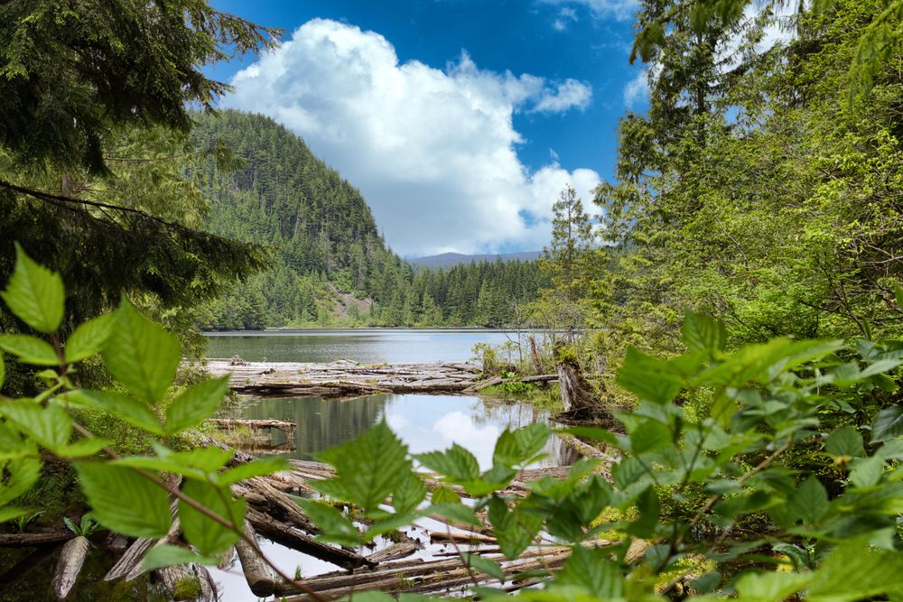 Mountain lake in WA State