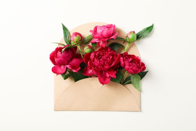 Beautiful peony flowers in envelope on blank background, space for text