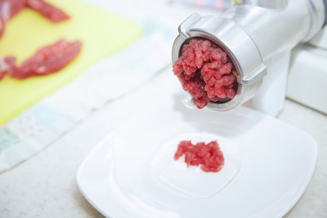 Mincing machine with forse meat