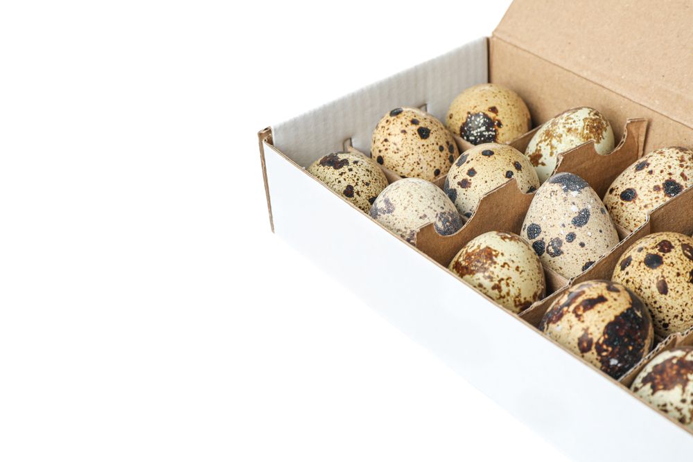 Quail eggs in carton box isolated on light background