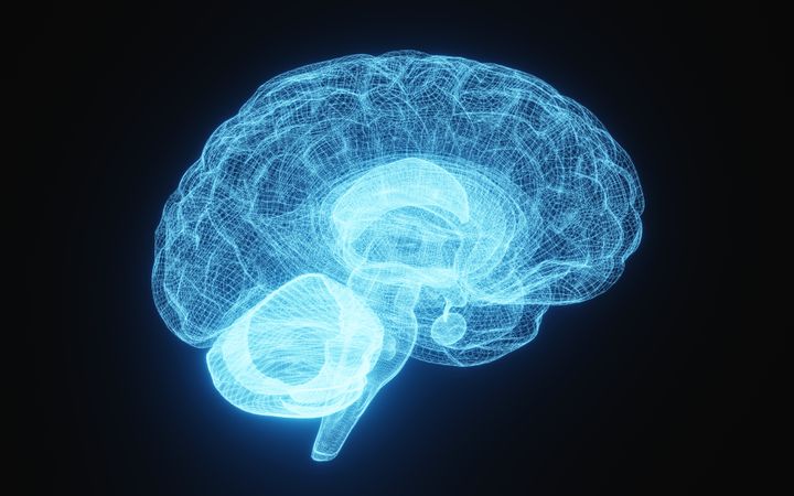 Glowing X-ray image of human brain in blue wireframe