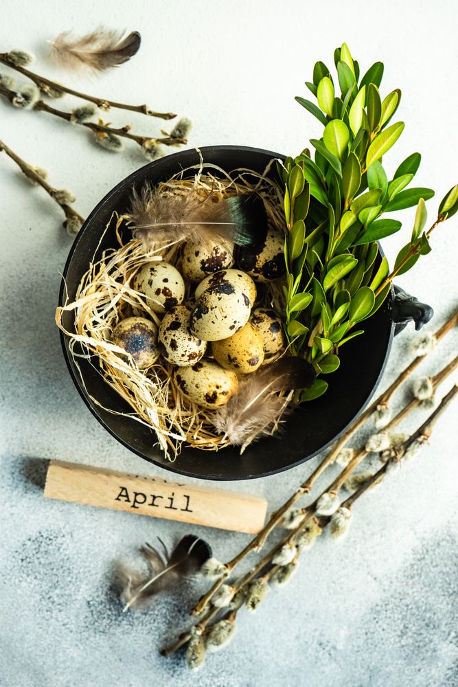 Easter card concept with bowl full of speckled eggs and branches