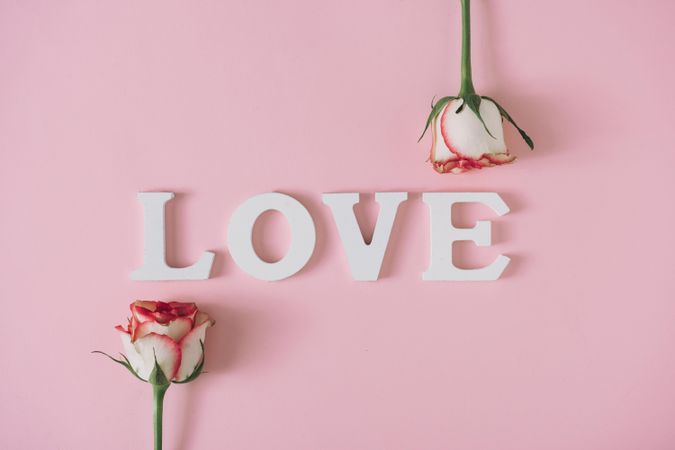 LOVE with two roses against pink background