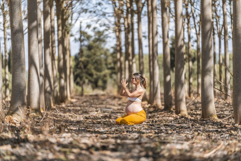 Calm adult pregnant woman practicing yoga while sitting in pose lotus on ground in park during sunny day