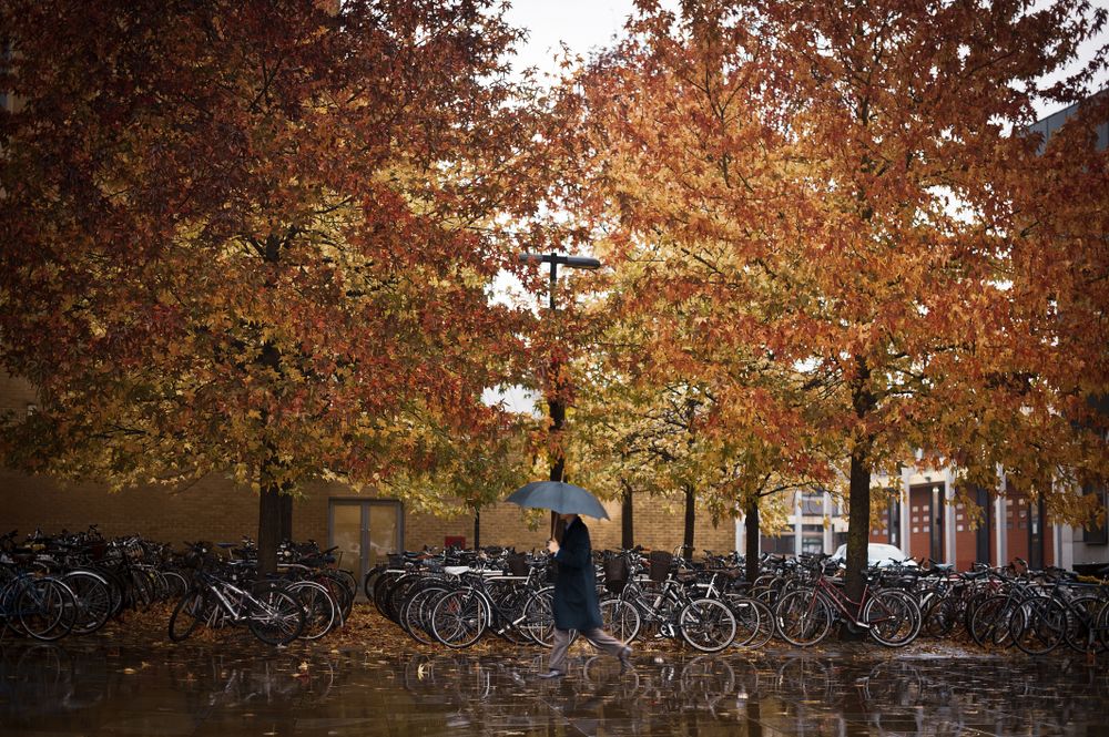 Person with umbrella walking on street