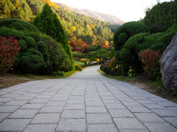 Stone path among vibrant trees in morning calm