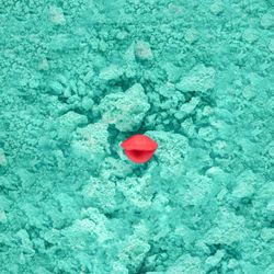 Lips on green dust background
