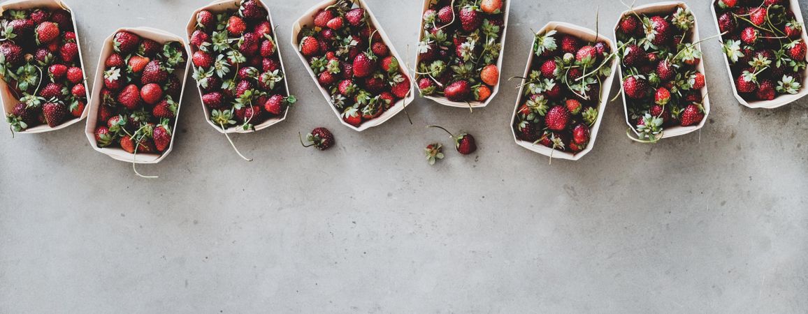 Strawberries in eco-friendly plastic-free boxes, lined up on concrete, wide composition, copy space