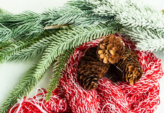 Pine branch with pine cones and red scarf