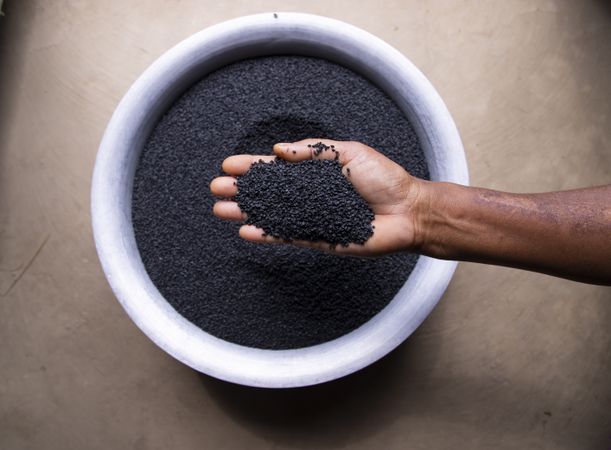 Onion seeds in farmer's hand above bowl checking moisture