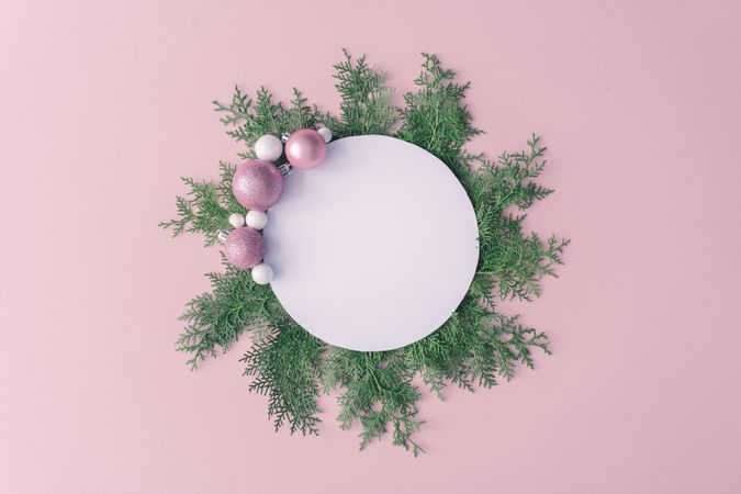 Christmas frame made of winter plants and pink baubles on pink table background