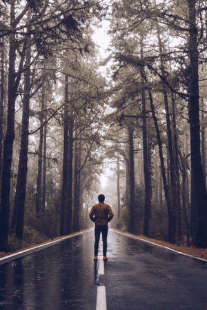 Traveler walking on empty road in woods