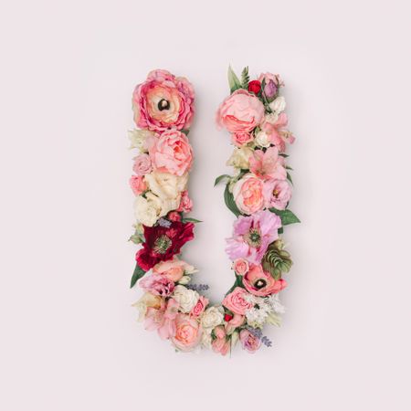 Letter U made of real natural flowers and leaves