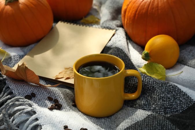 Cozy autumn concept with pumpkins and cup of coffee outdoor