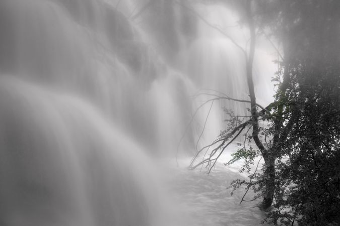 Wonderful waterfall near tree