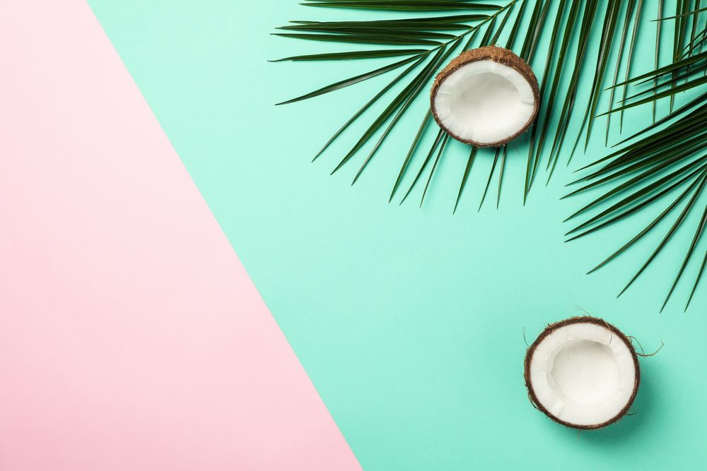 Palm branches and coconut on two tone background, space for text
