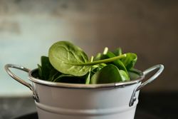 Fresh spinach on a rustic metal crockery bowl