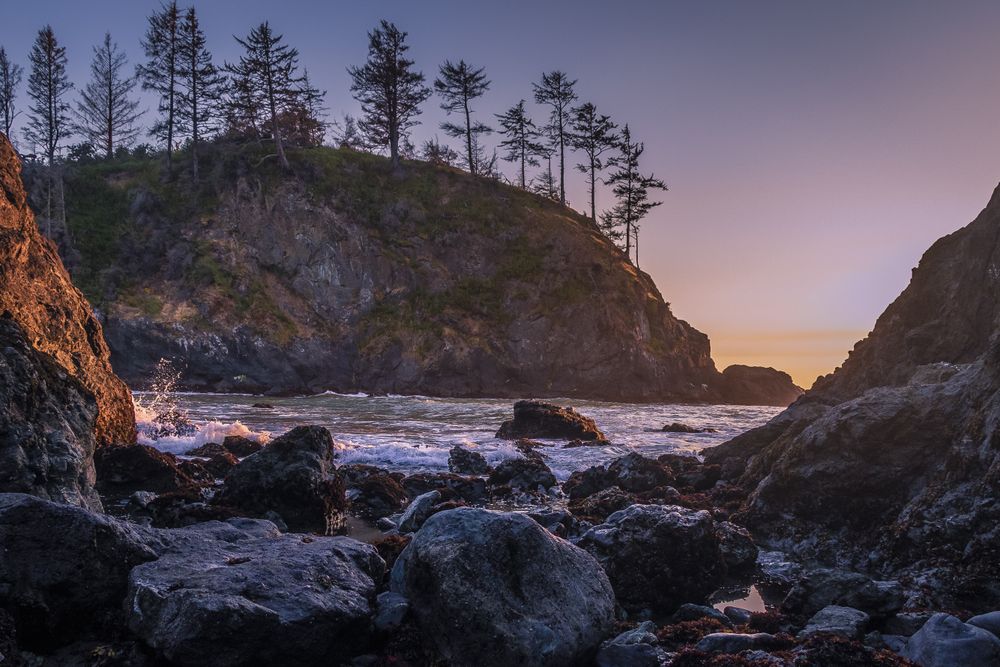 Trees, cliffs and rock pools in early evening