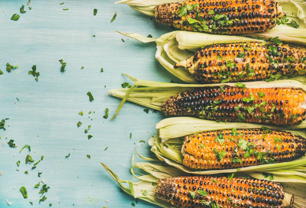 Charred organic sweet corn with copy space