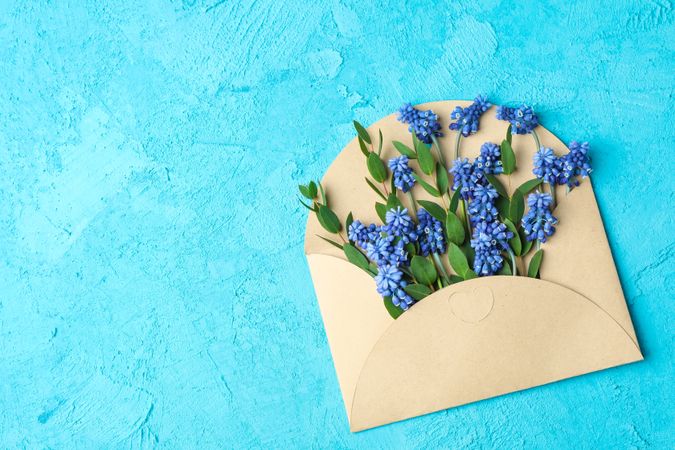 Letter with fresh hyacinths on blue background, space for text