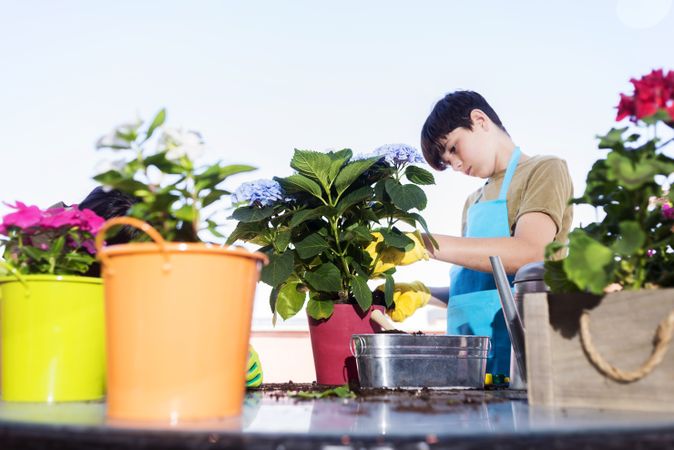 Young smiling teenage boy gardening pots of plants