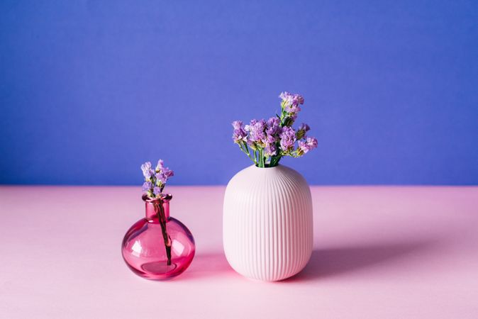 Violet sea lavender flowers in a pink and blue background
