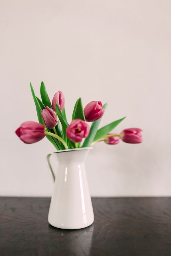 Pink tulips in vase
