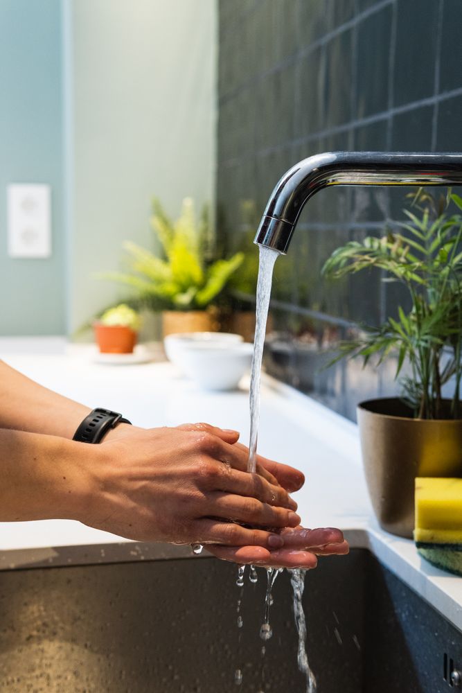 Crop woman washing hands above sink at home