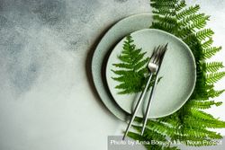 Elegant summer table setting with fern with copy space bGRNe2